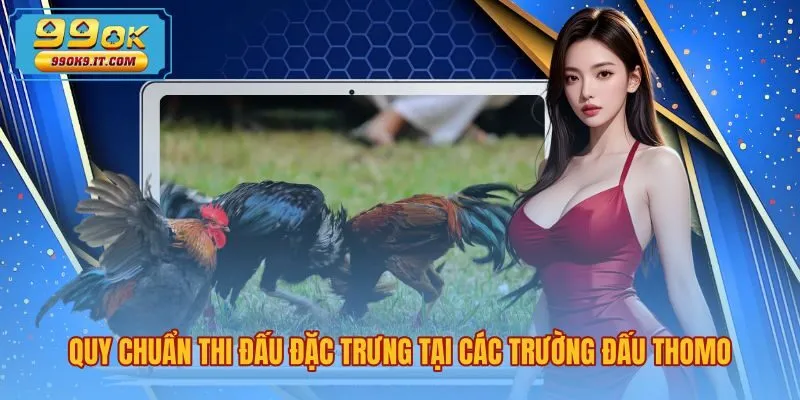 Đá gà Thomo là gì qua quy chuẩn kiểm định chạng cân