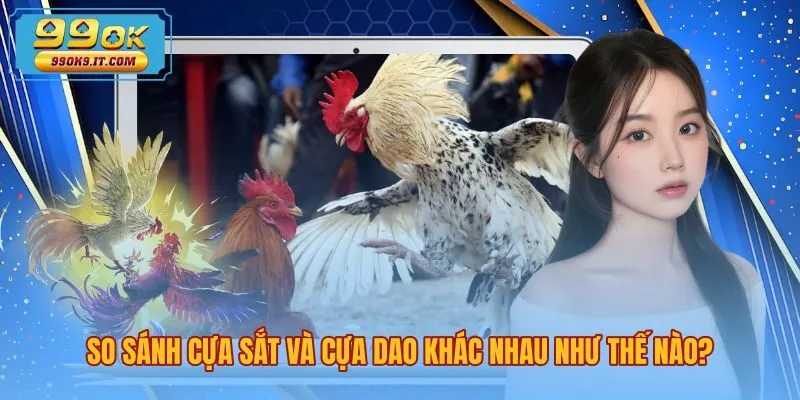 so-sanh-cua-sat-va-cua-dao-khac-nhau-nhu-the-nao Đặc trưng hình thái vũ khí và nhịp độ tranh tài